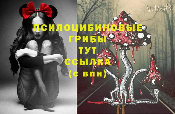 индика Медногорск