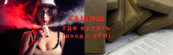 индика Медногорск