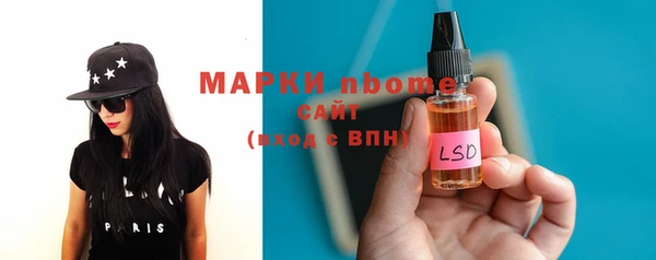 индика Медногорск