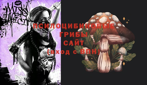 бутират Мегион