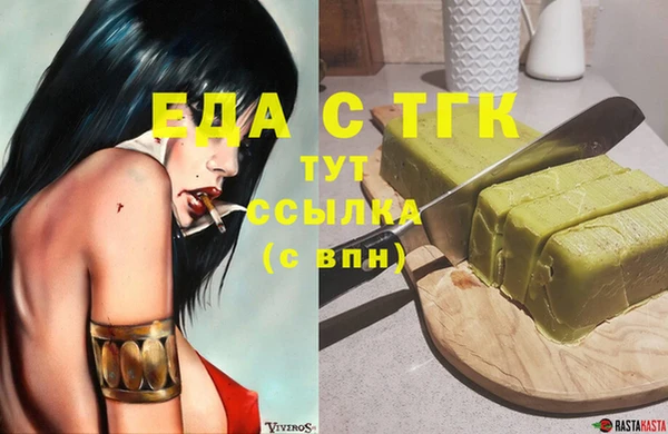индика Медногорск