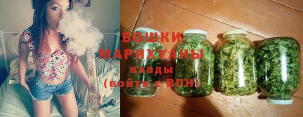 индика Медногорск