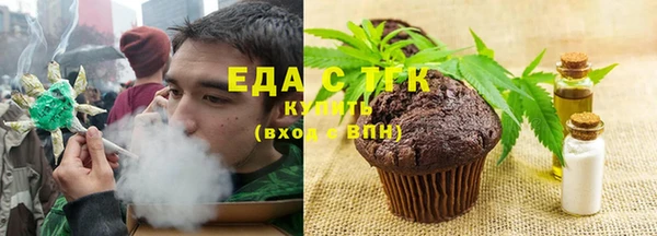 индика Медногорск