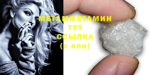 индика Медногорск