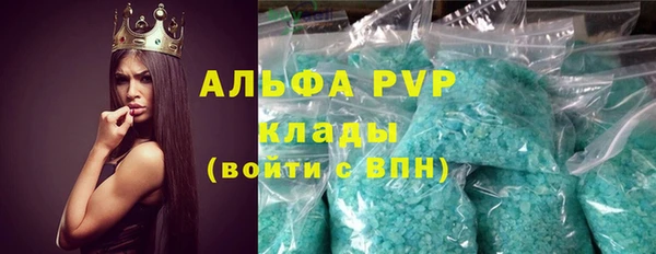 индика Медногорск